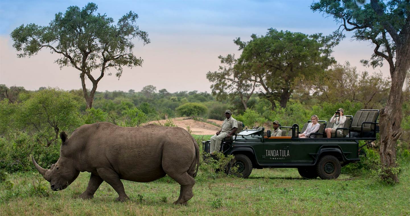 big 5 safari africa